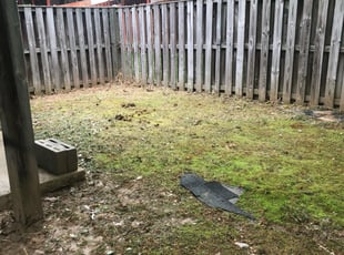 Isaiah V.'s Leaf Removal service result
