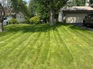Mandi S.'s Lawn Care service result