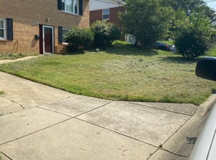 Cleanups by Norman Blanchard for Arliene A. in Temple Hills, MD