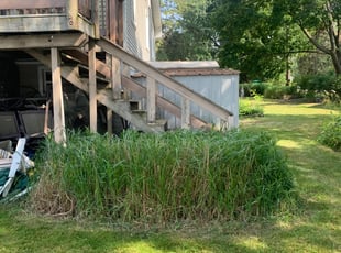Bush Trimming by Manuel Fraire for Lisa S. in Lake Zurich, IL