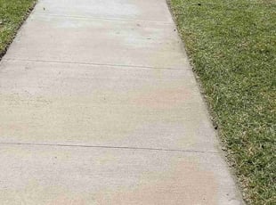 Connie D.'s Lawn Mowing service result