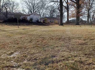 Cleanups by Charles Ridge for Kayla R. in Kansas City, KS
