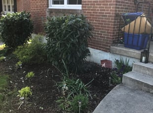 Bush Trimming by Dwight harris for Trysche A. in Catonsville, MD