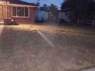Leaf Removal by Jerry Hamilton for Carmelita D. in Aurora, CO