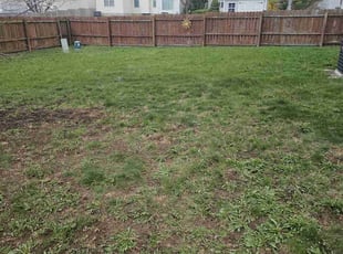 Cleanups by Leroy Green II for Austin N. in Grove City, OH
