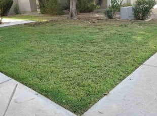 Becky B.'s Lawn Care service result