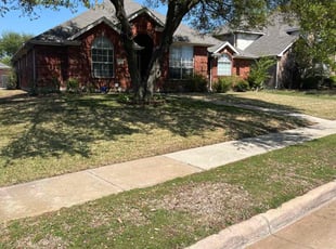Leaf Removal by Thomas Pepsis for Margie S. in Plano, TX