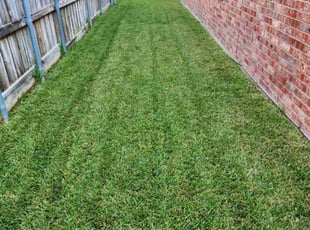 Annette H.'s Lawn Care service result