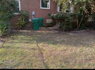Leaf Removal by Mike Williams for Ashley F. in Richmond, VA