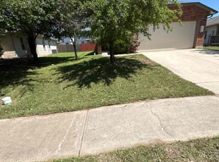 Betsy C.'s Lawn Service service result