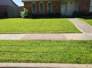 Holly S.'s Yard Cutting service result