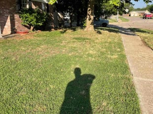 Leaf Removal by Trevor Lohr for Glen E. in Norman, OK