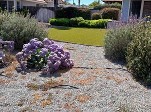 Kim j.'s Lawn Service service result