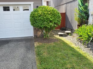 Bush Trimming by Richard Holdridge for Pamala P. in Puyallup, WA