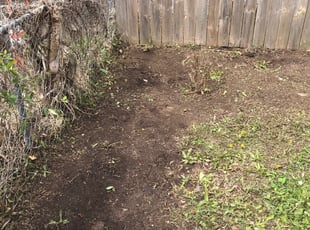 Cleanups by Eric Jamison for Deborah W. in Kansas City, MO