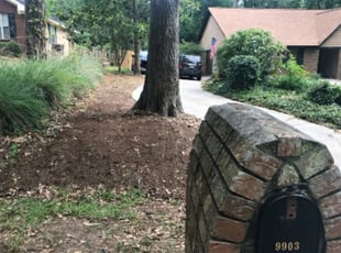 Cleanups by Jeryl Scott for Albert M. in Tallahassee, FL