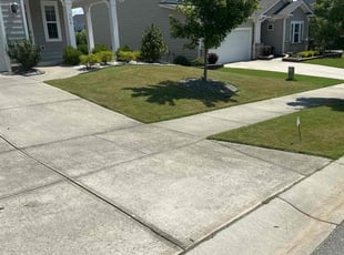 Ananda R.'s Lawn Care service result