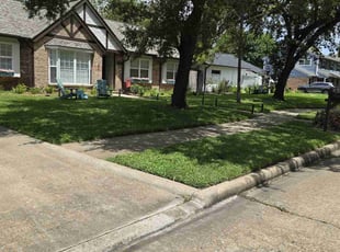Eryn D.'s Grass Cutting service result