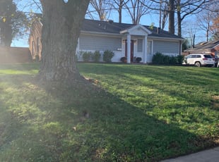 Leaf Removal by Jose M Rodriguez for William M. in Springfield, VA