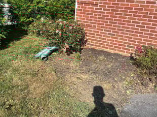 Bush Trimming by John Velazquez for Anthonio A. in Lancaster, PA