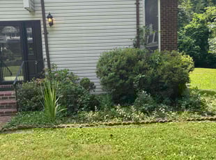 Edward H.'s Bush Trimming service result