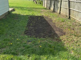 Aeration by Damian Fields for Dan P. in Middletown, OH