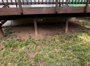 LC L.'s Cleanups service result