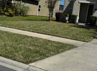 Sunshine M.'s Lawn Service service result