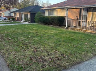 Bush Trimming by Antionette Newsome for Lorri S. in Park Forest, IL