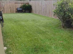 Ashley G.'s Grass Cutting service result