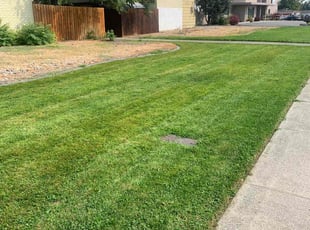 David S.'s Yard Cutting service result