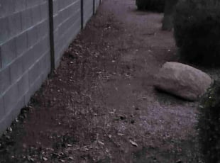 Cleanups by Tripler Dela Cruz for Mike M. in Phoenix, AZ