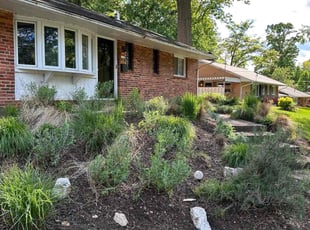 Cleanups by Angel P. for Sam S. in Springfield, VA