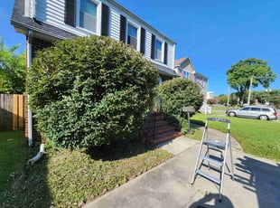 Karen C.'s Bush Trimming service result