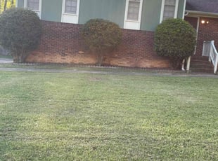 Bush Trimming by Ahyanna Jennings for Shavone M. in Birmingham, AL