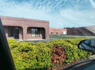 Bush Trimming by Timothy Pannell for Tom R. in Greensboro, NC