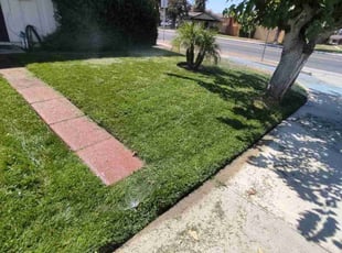 Rolla P.'s Yard Cutting service result