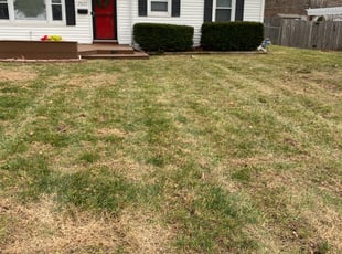 Leaf Removal by Shawn Byers for Christoph N. in Shawnee, KS
