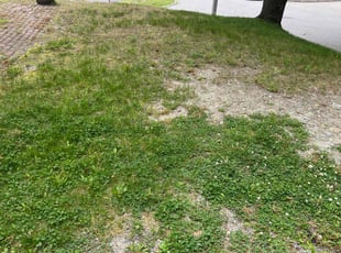 Leaf Removal by Andrew Perch for Kathy B. in Worcester, MA