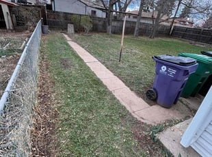 Leaf Removal by Uriel Méndez Rubalcava for Alisa A. in Denver, CO