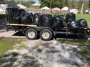 Cindy S.'s Cleanups service result