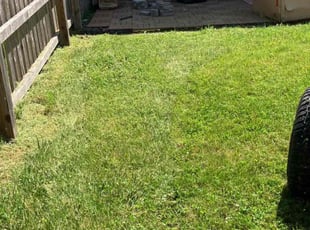 John Q.'s Lawn Care service result