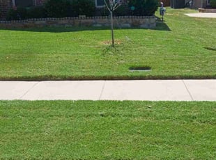 Donald A.'s Lawn Service service result