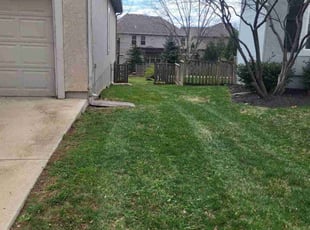 Leaf Removal by Brian Most for Pamela S. in Olathe, KS
