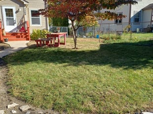 Leaf Removal by David Gallaway for Marcia M. in Minneapolis, MN