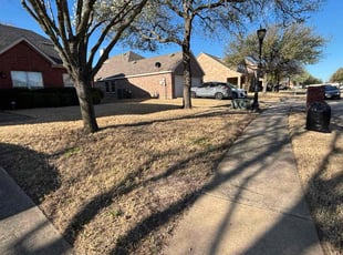 Leaf Removal by Osmin Salvador for Brian L. in Rowlett, TX