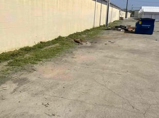 Bush Trimming by Heriberto Lopez for Tyko M. in Corpus Christi, TX