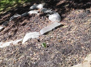 Cleanups by Eliseo Delgado Sanchez for Jonathan R. in Greensboro, NC