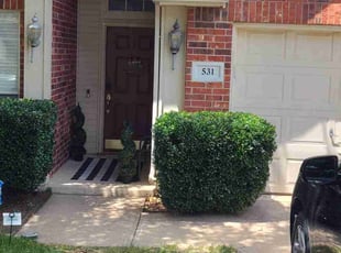 Kay B.'s Bush Trimming service result