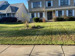 Kaven K.'s Lawn Mowing service result